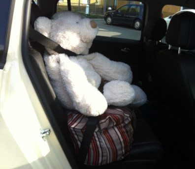 Ein riesiger Teddybär als außergewöhnlicher Fahrgast im Taxi 28